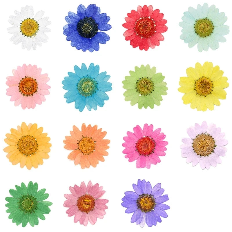 120pcsPressed Press Dried Daisy Dry Flower Plants For Epoxy Resin Pendant Necklace Jewelry Making Craft DIY Accessories