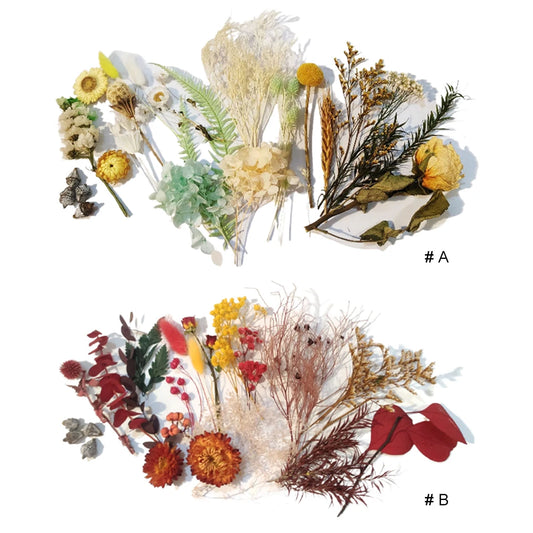 Dried Flowers Packet Mixed Dried Flowers Multifunction Dried Floral Decoration Natural for Resin Candle Art Craft Work