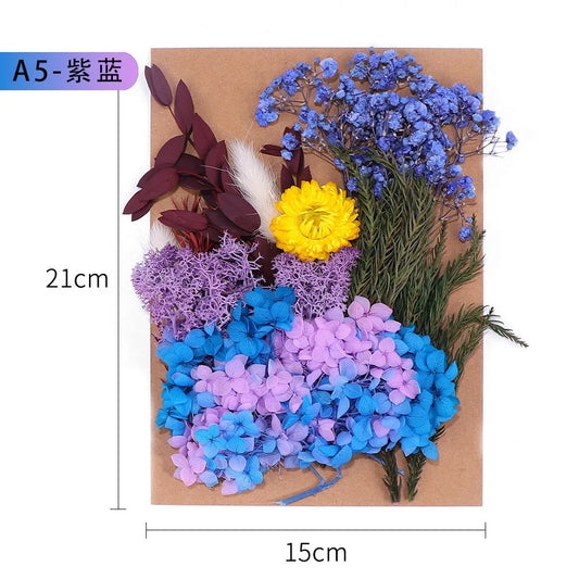A5 Bag Natural Plants Preserved Dried Real Flowers Epoxy Resin Candles DIY greeting card Floral Materials Hydrangea Flower